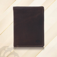 DOLPHIN LINE - TORRO LEDER