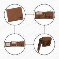 DOLPHIN LINE - TORRO LEDER