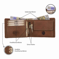 DOLPHIN LINE - TORRO LEDER