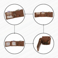 DOLPHIN LINE - TORRO LEDER