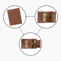 DOLPHIN LINE - TORRO LEDER