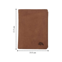 DOLPHIN LINE - TORRO LEDER