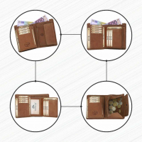 DOLPHIN LINE - TORRO LEDER